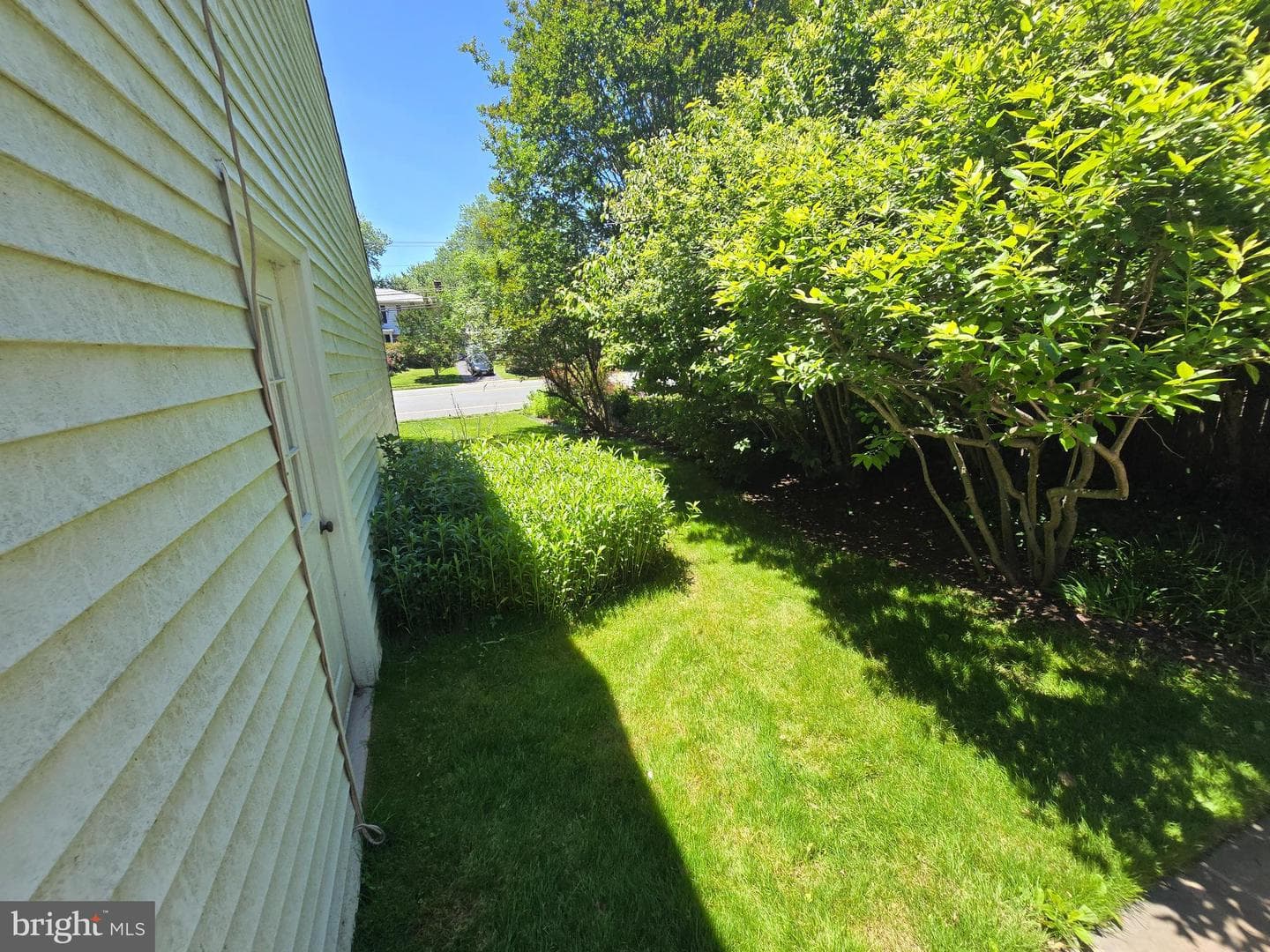 1805 Great Falls Street photo 5