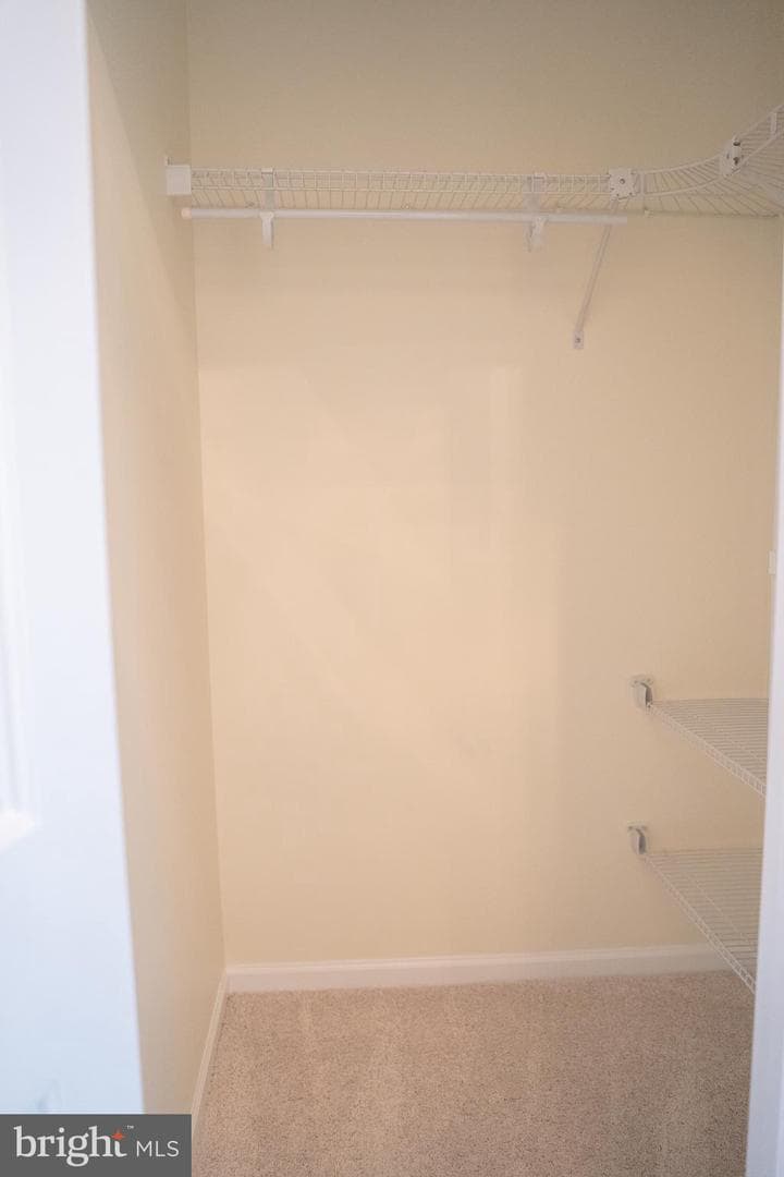 12101 Greenwood Court #301 photo 29