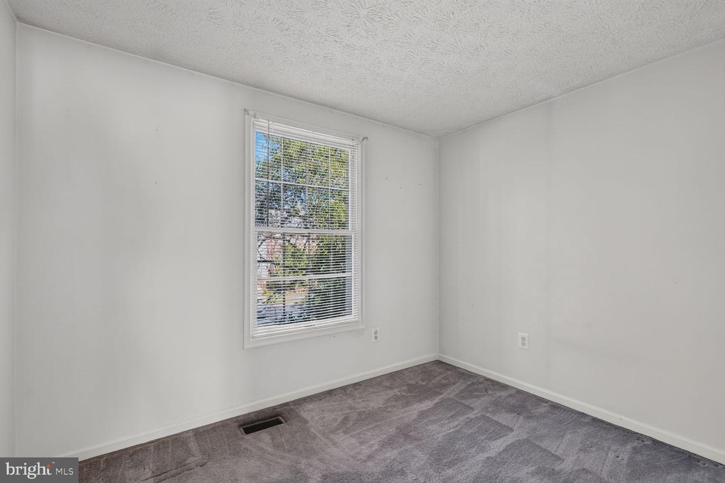 6109 Gardenia Court photo 20