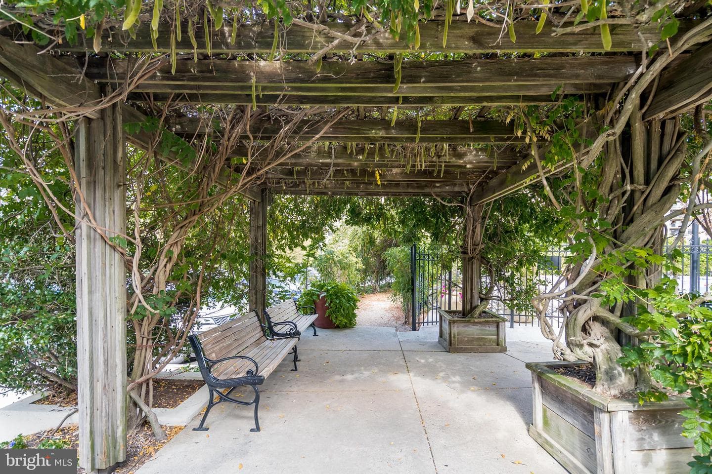 8360 Greensboro Drive #306 photo 54