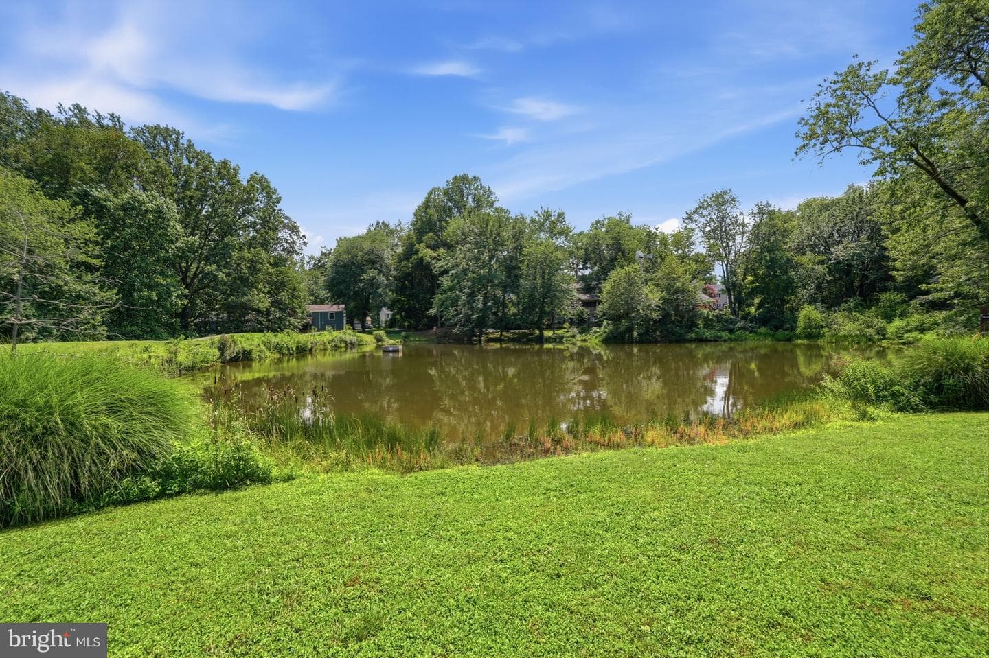 9826 Burke Pond Lane photo 43