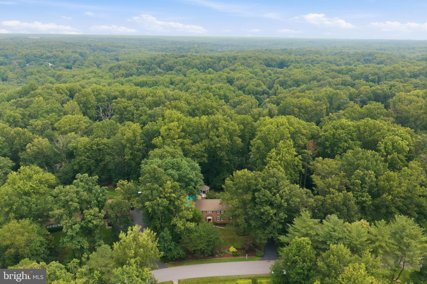 10516 Walter Thompson Drive photo 54