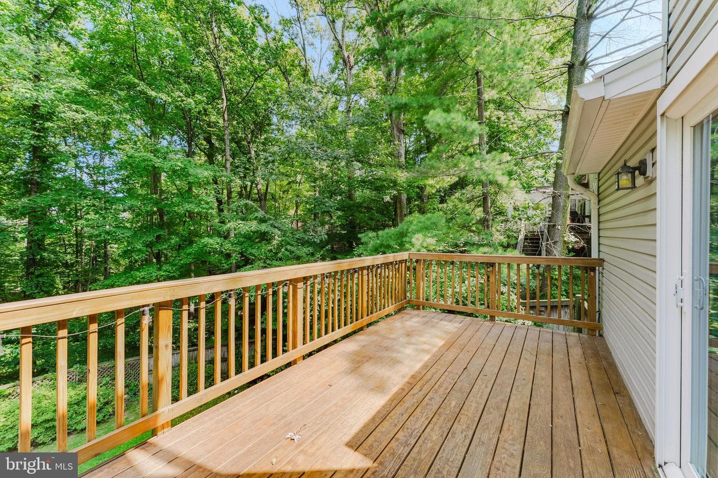8407 Chillum Court photo 42