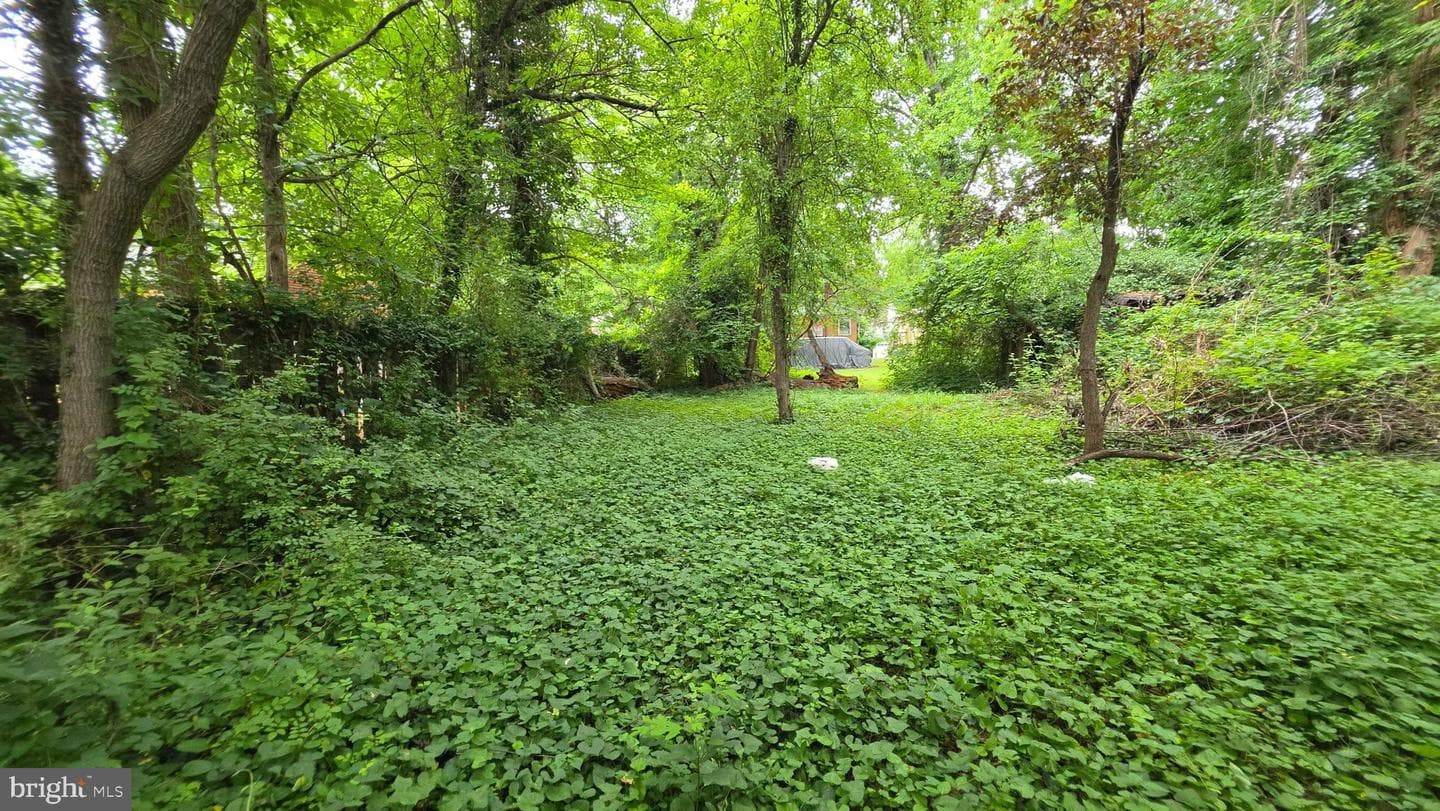 1644 La Salle Avenue photo 4