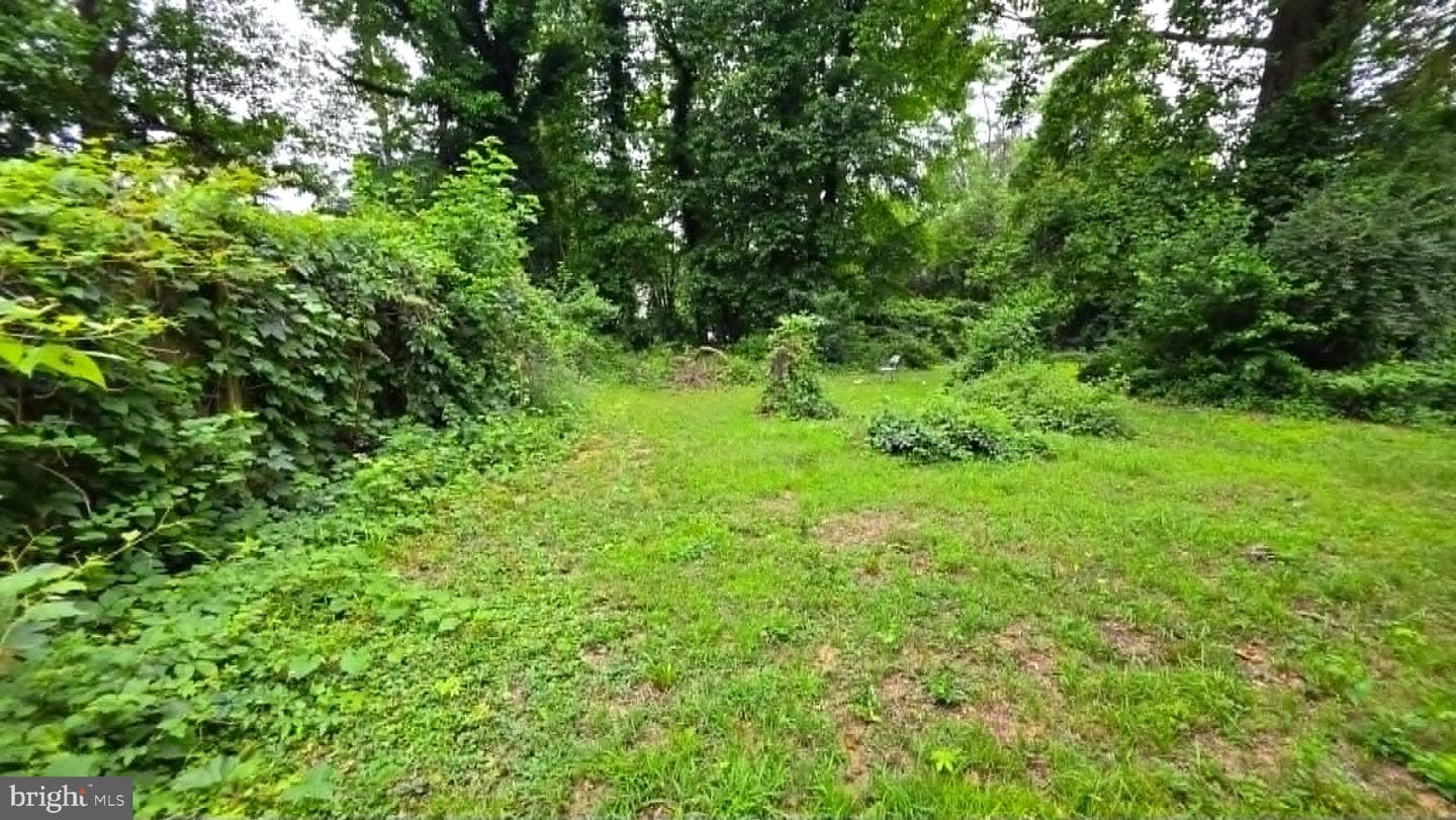 1646 La Salle Avenue photo 5