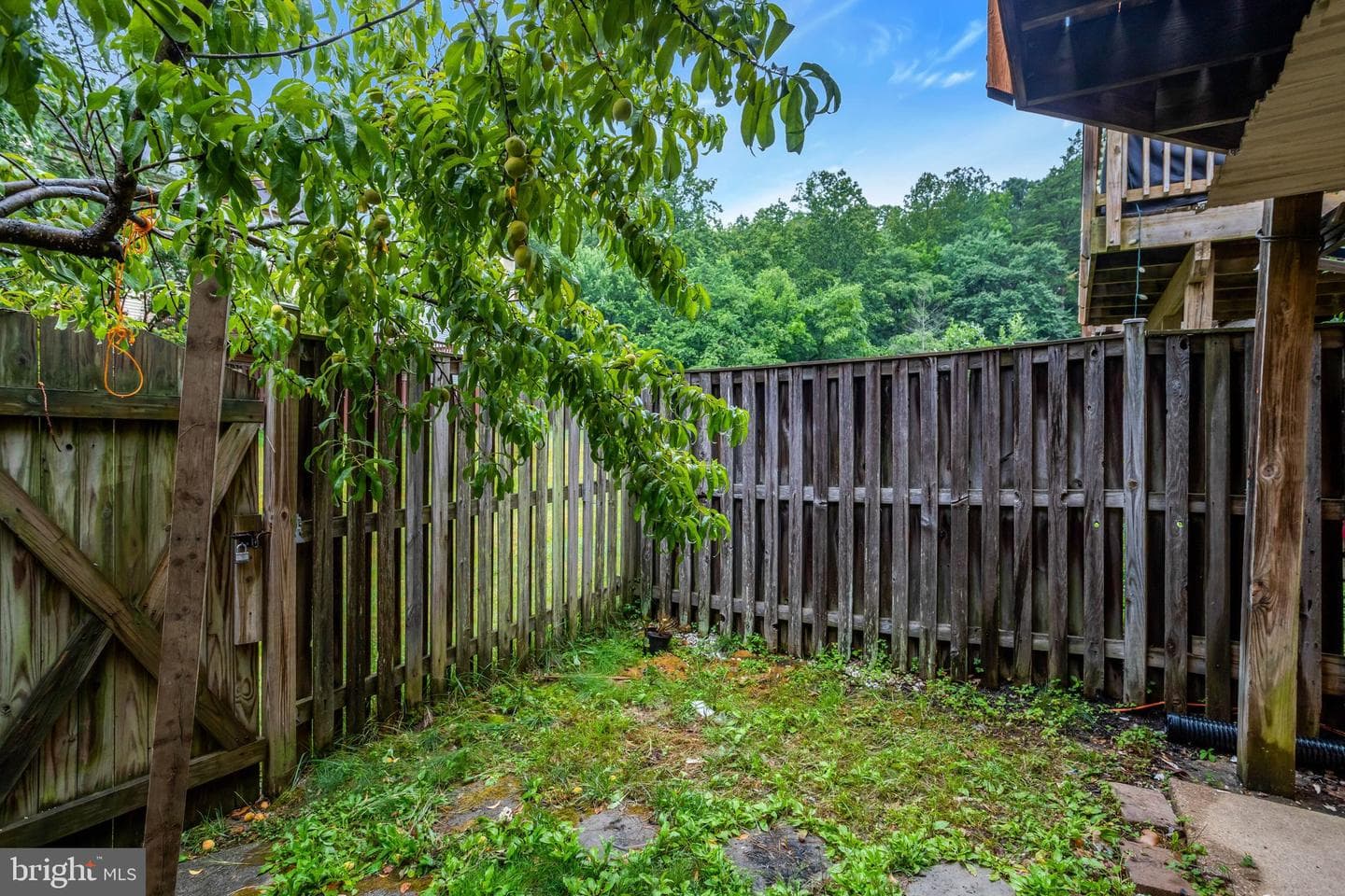 6167 Castletown Way photo 50