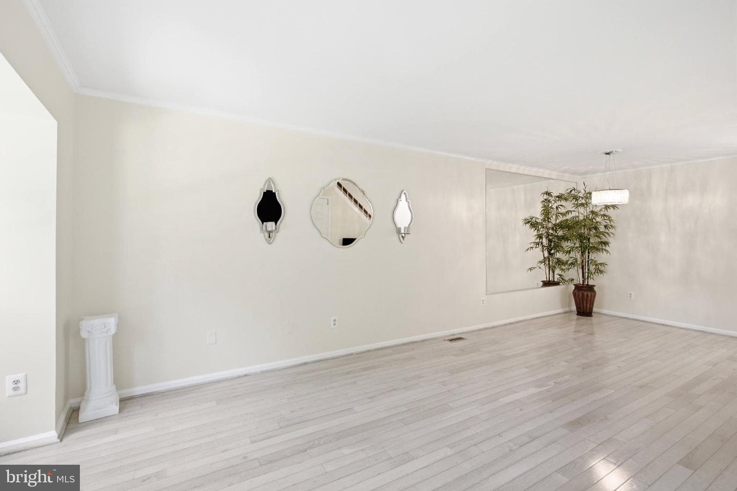 8434 Springfield Oaks Drive photo 17