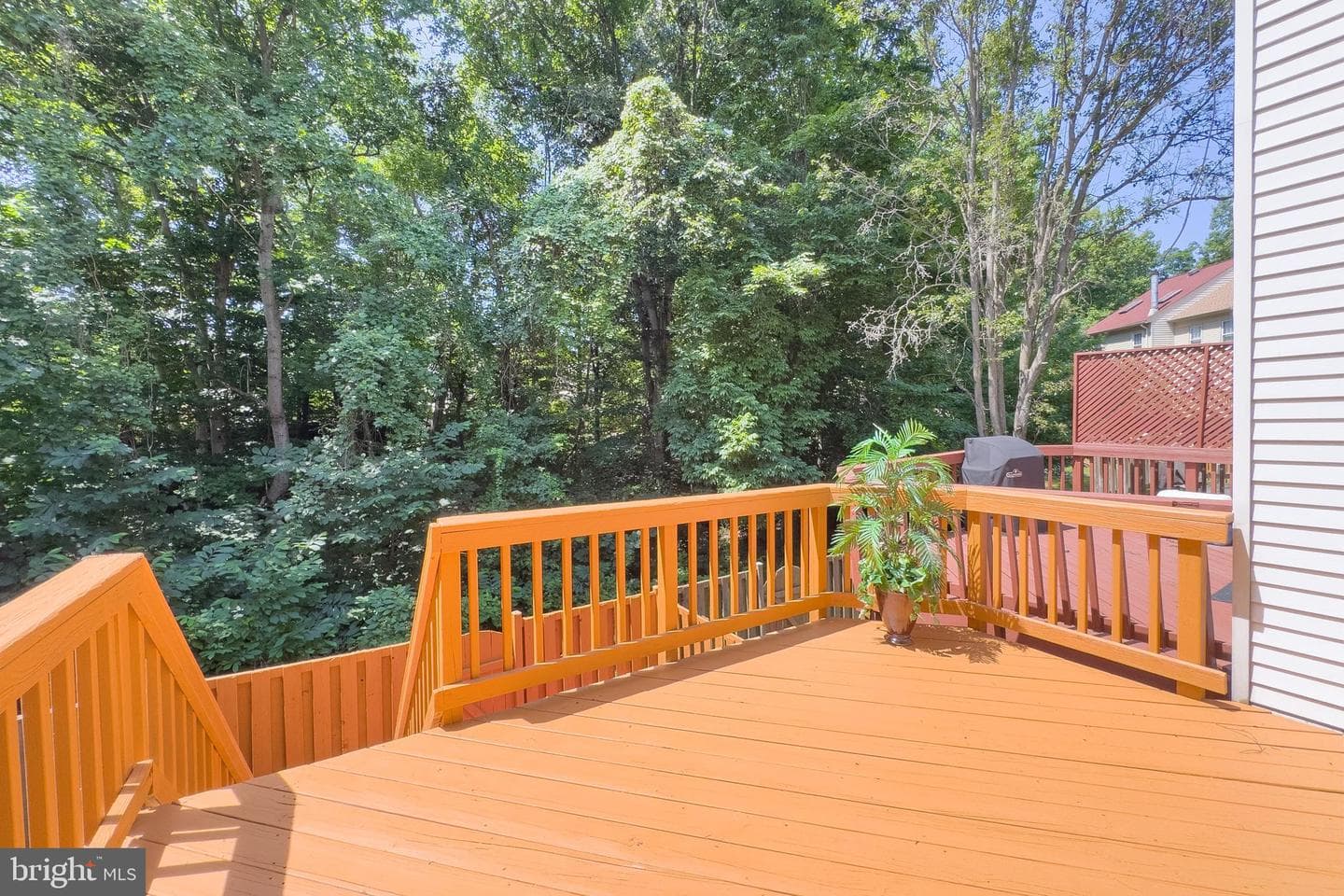 8434 Springfield Oaks Drive photo 19
