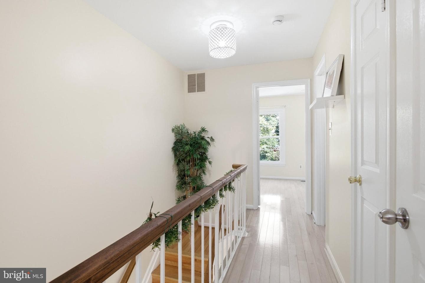 8434 Springfield Oaks Drive photo 24