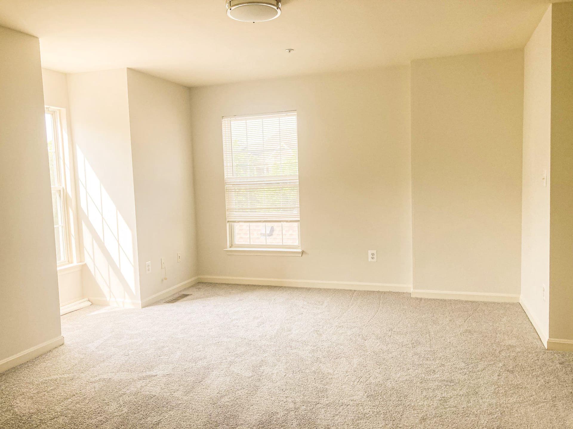 6601 Netties Lane #1803 photo 20