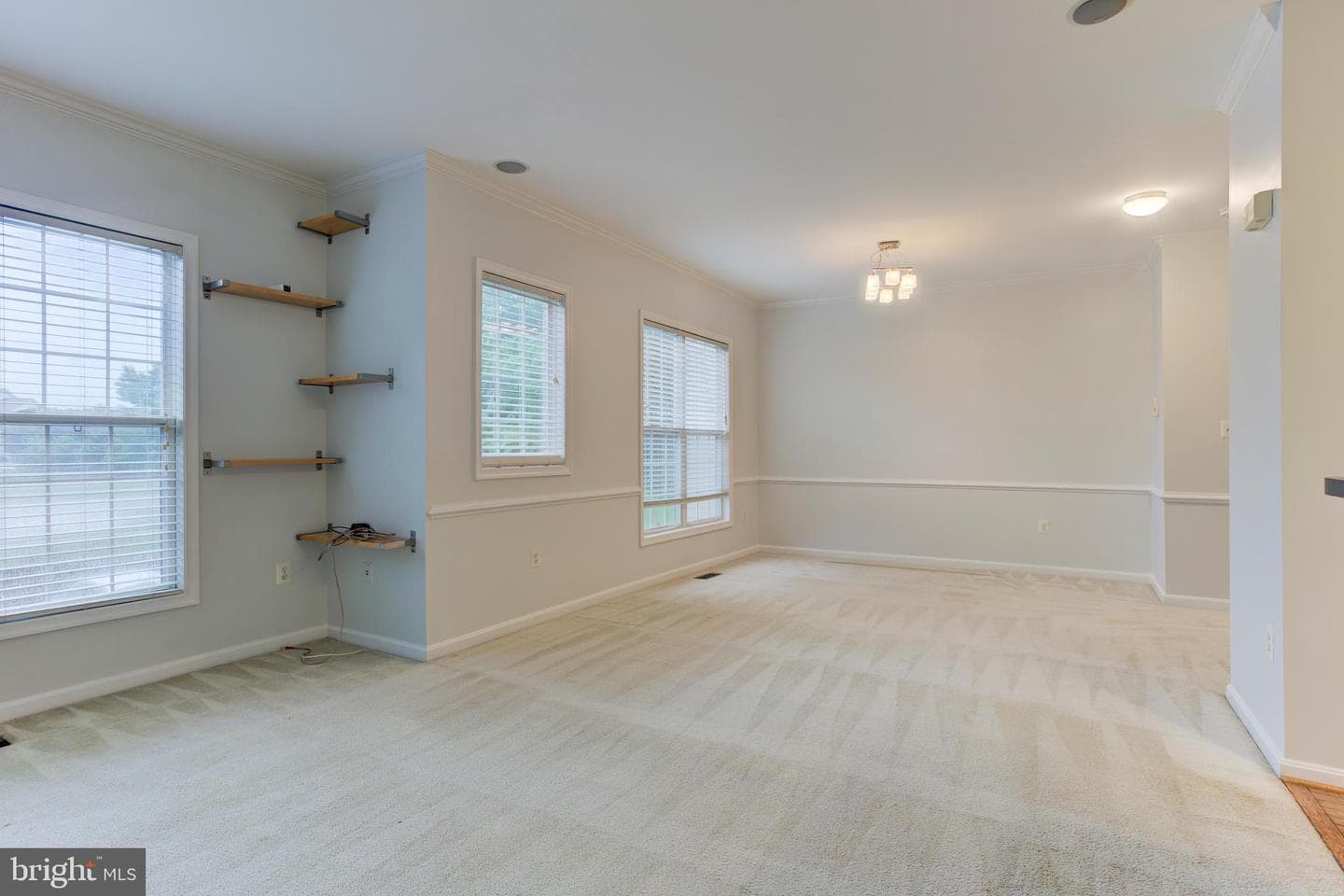 2504 Logan Wood Dr photo 20