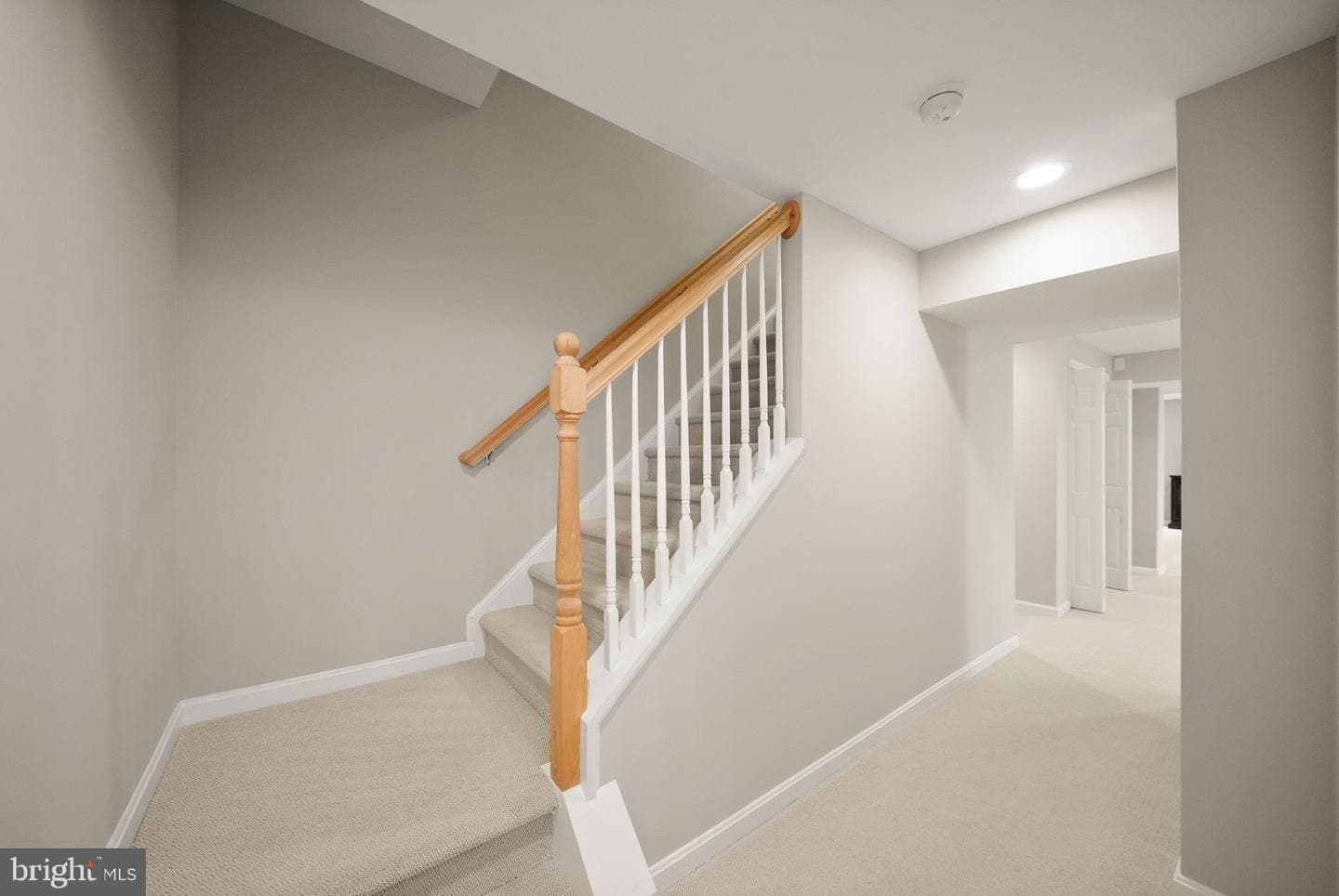 13111 Blue Willow Place photo 53