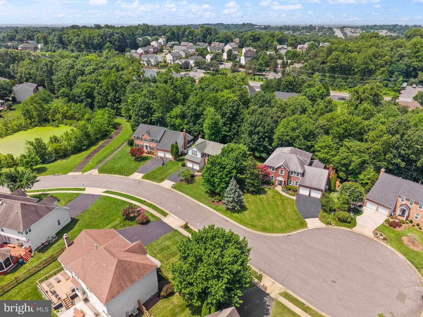 13111 Blue Willow Place photo 93