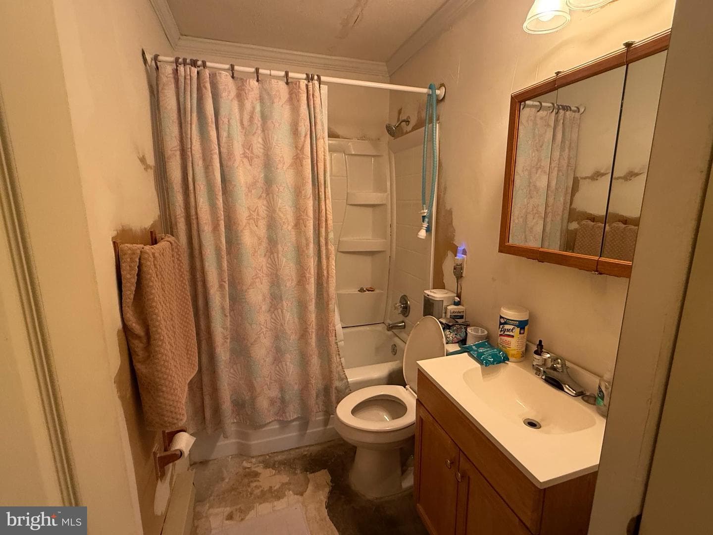 6404 Maplewood Drive photo 10