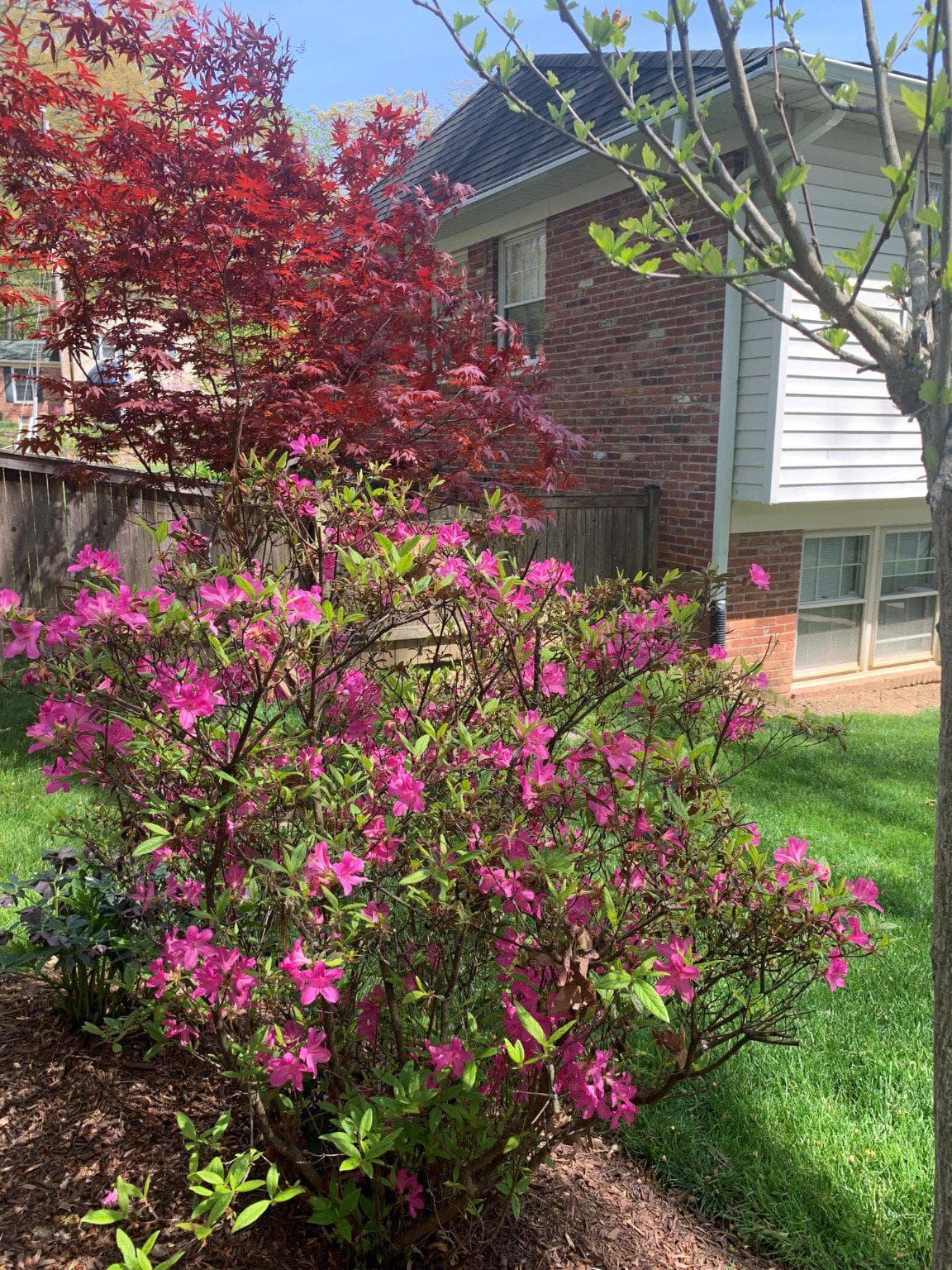 4118 Whispering Lane photo 64
