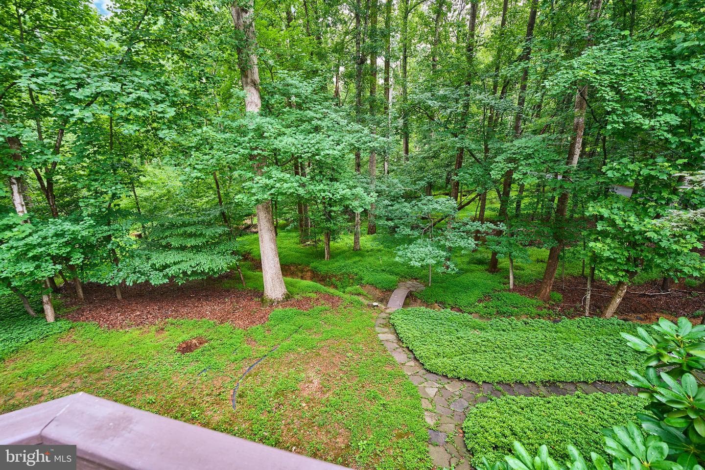 3091 Cobb Hill Lane photo 46