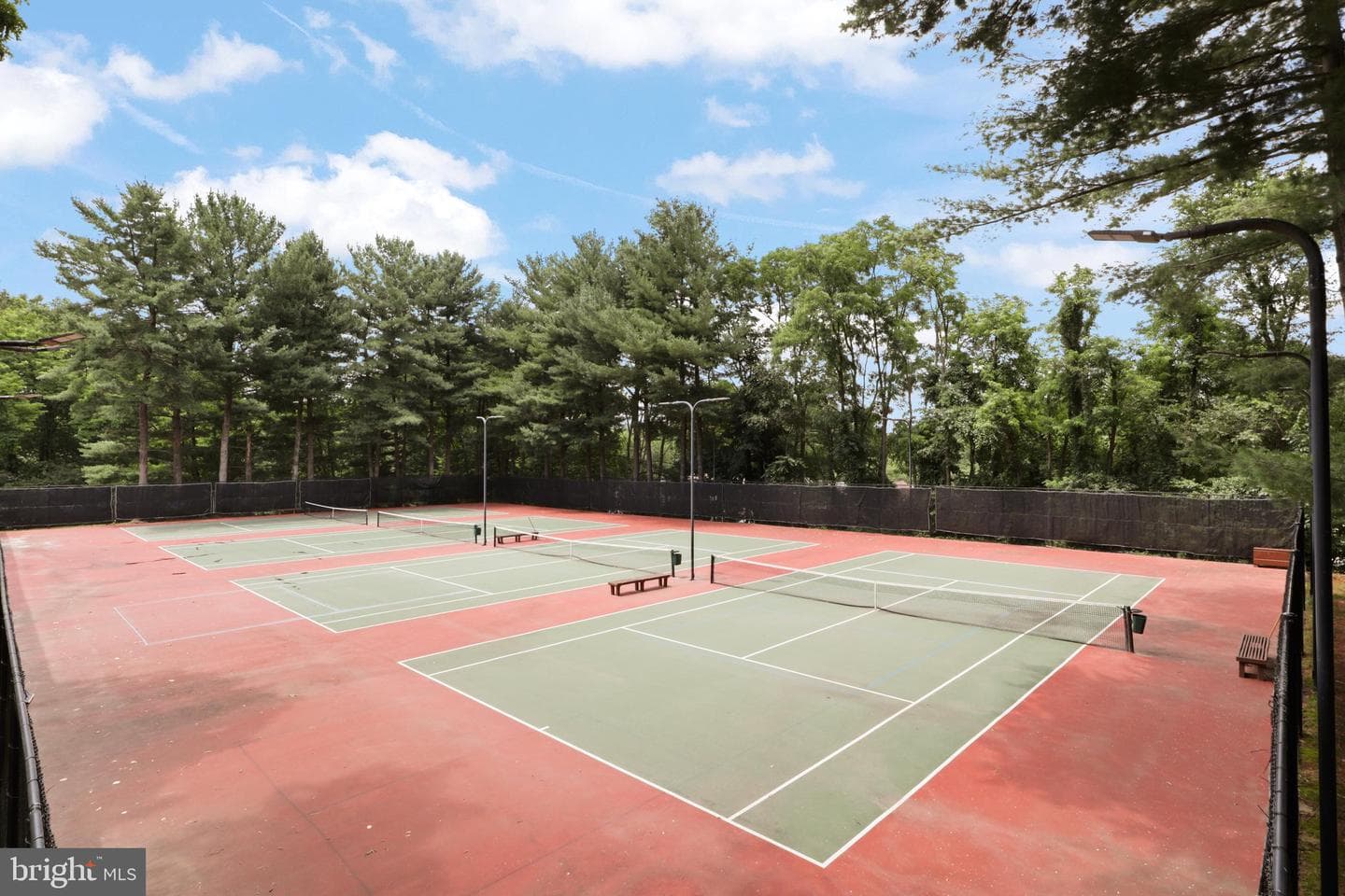 10100 Walnut Wood Court photo 45