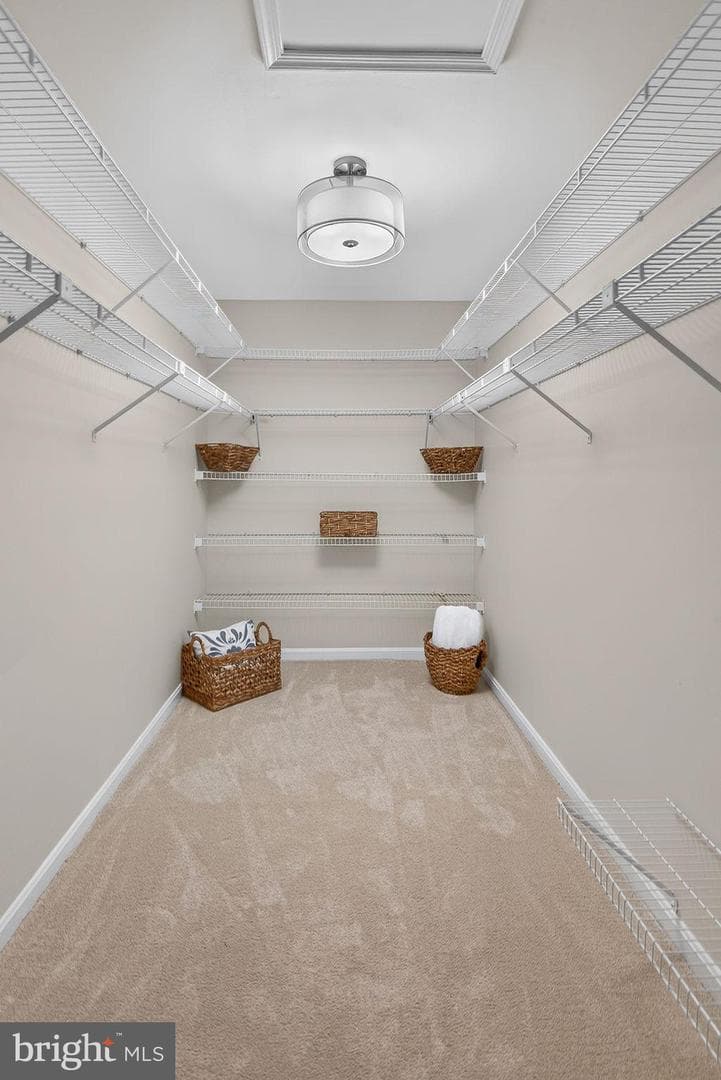 6207 Maple Run Court photo 43