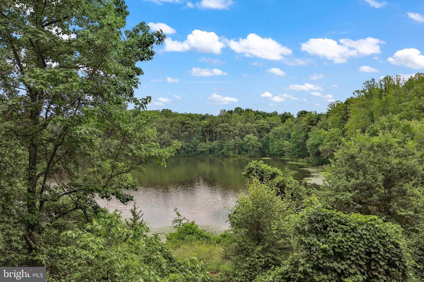 7315 Golden Horseshoe Court photo 44