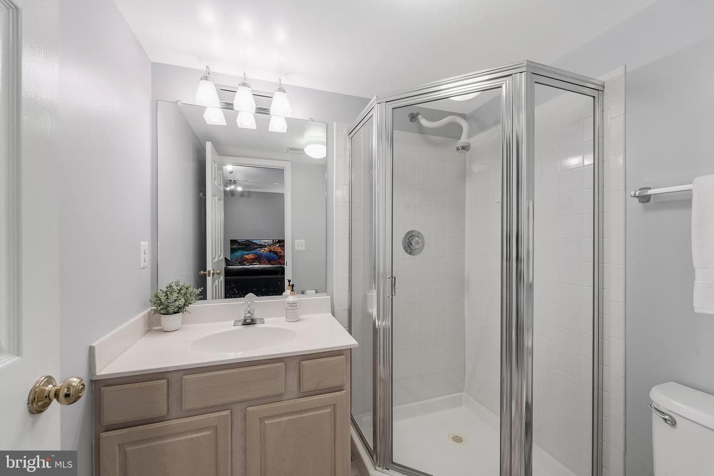 11515 Wild Hawthorn Court photo 25