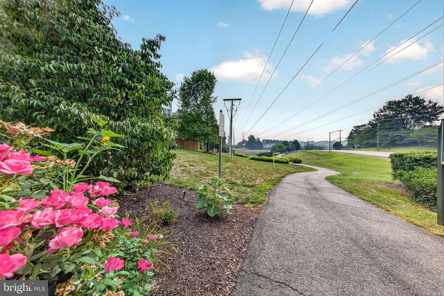 3398 Governor'S Crest Court photo 58