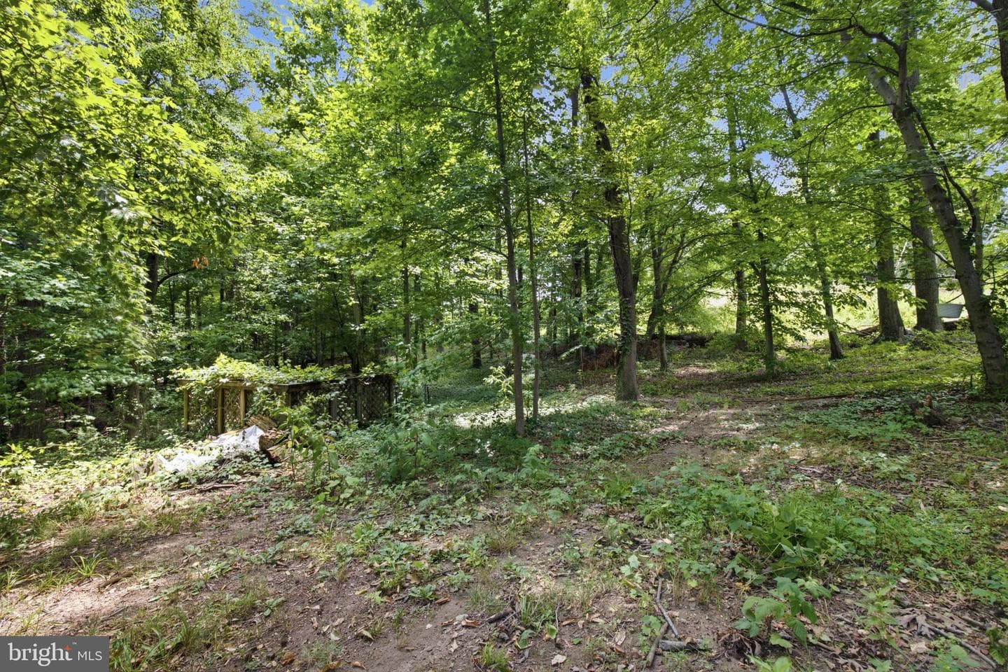 4529 Eaton Place photo 6