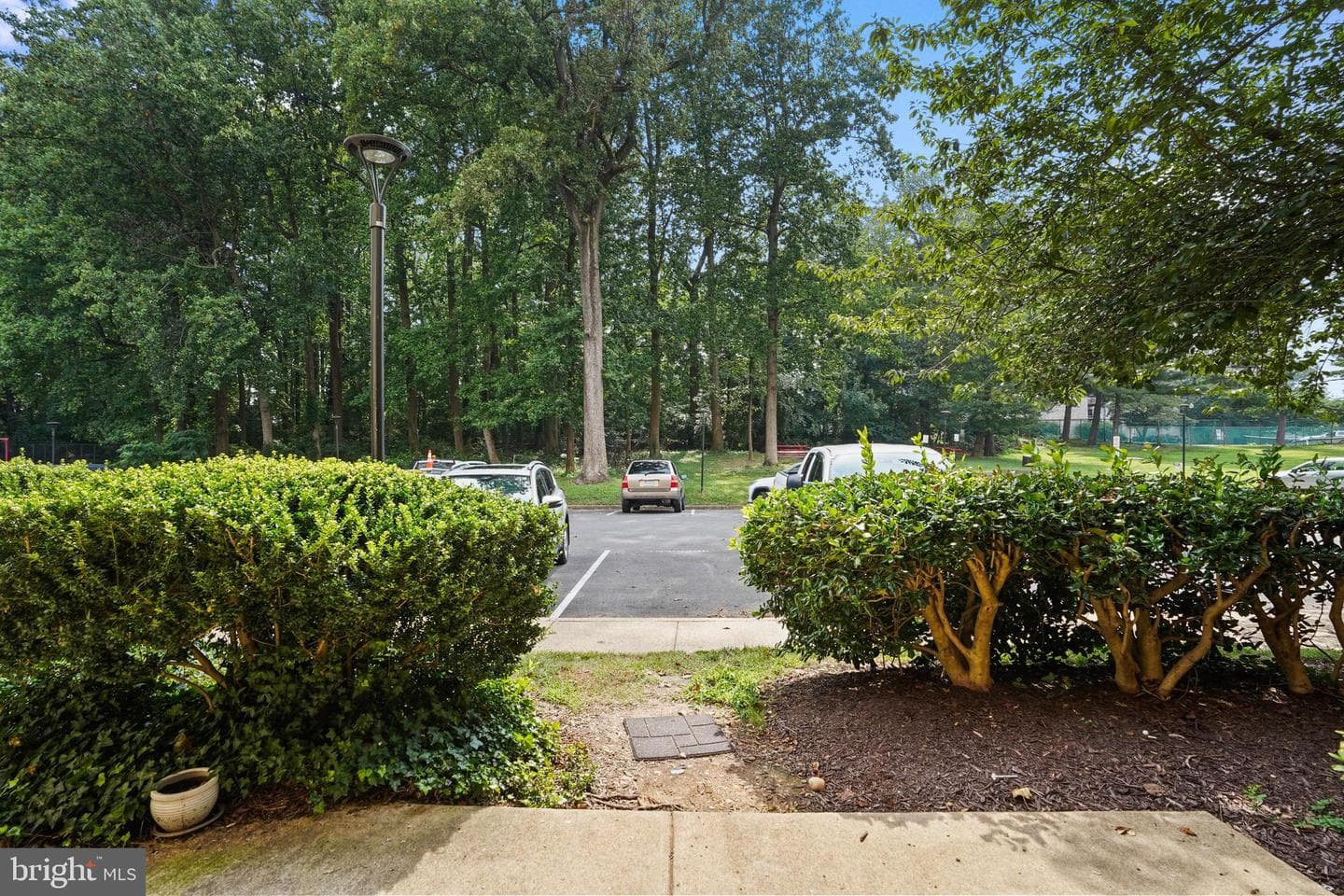 6141 Leesburg Pike #101 photo 33