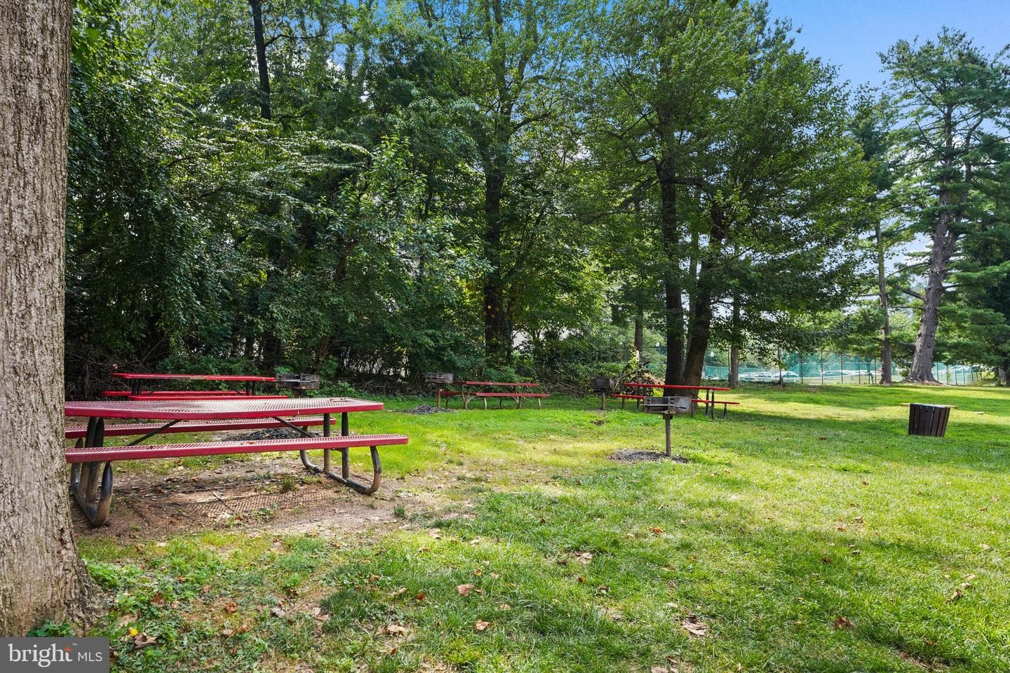 6141 Leesburg Pike #101 photo 34