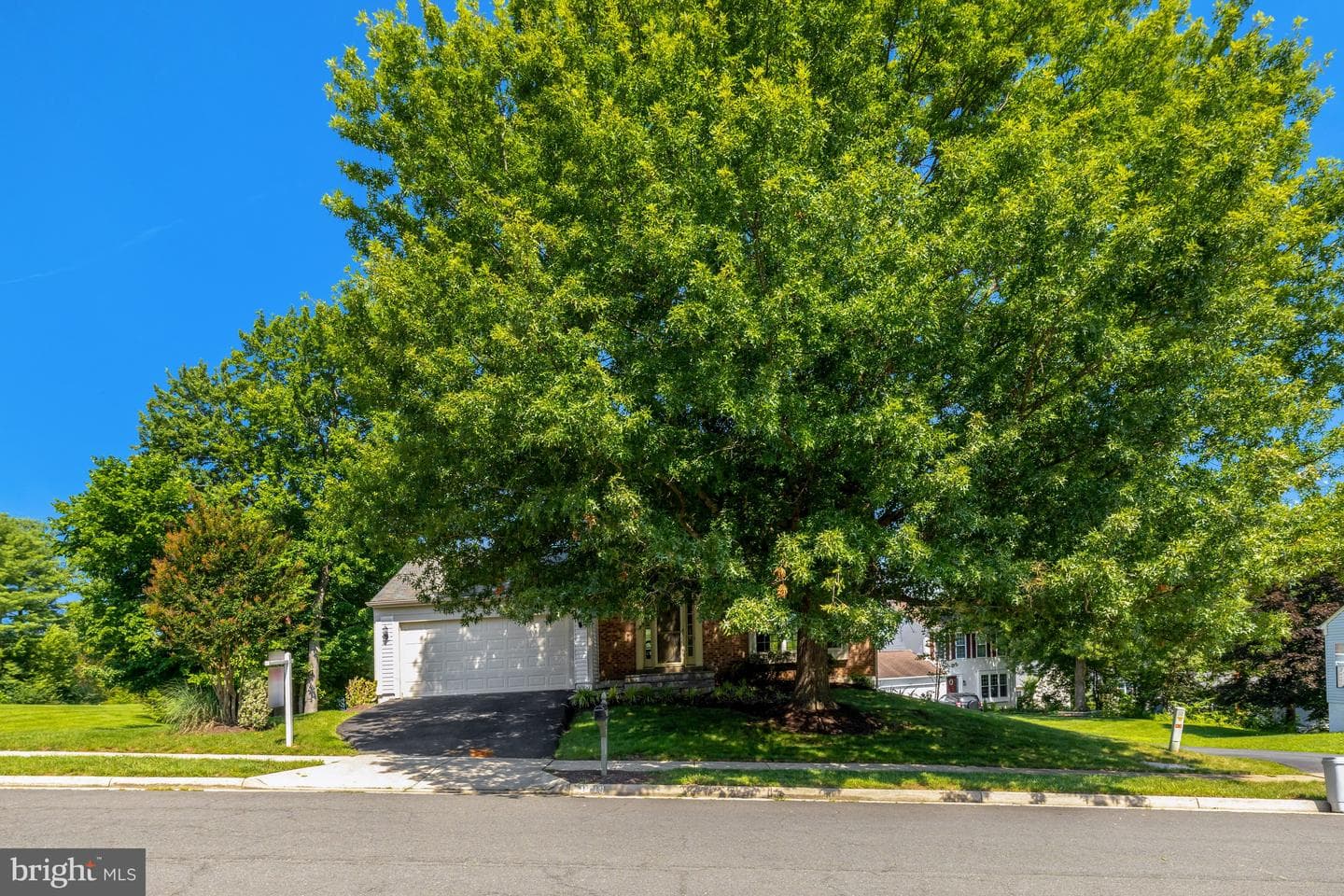 1340 Cassia Street photo 3