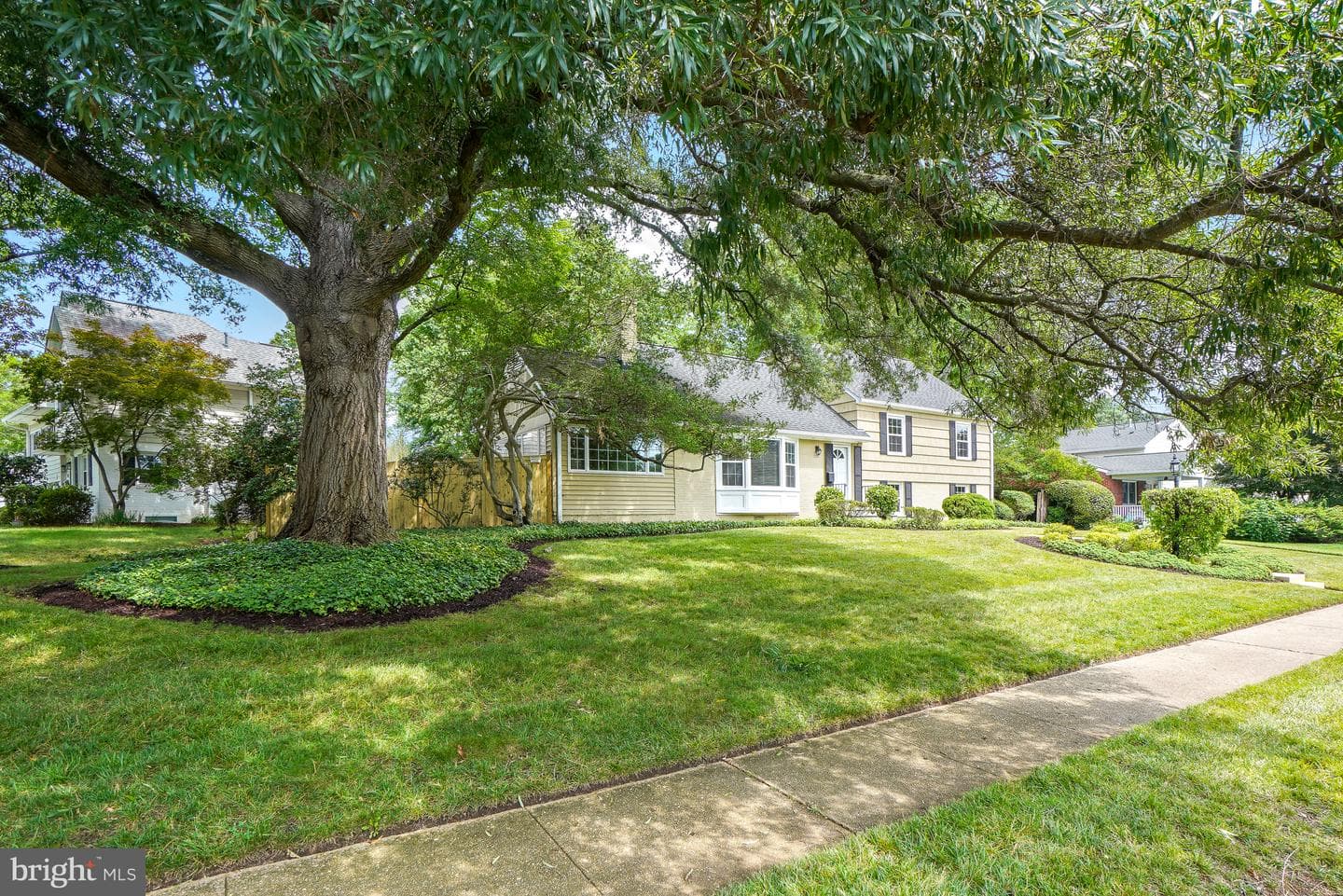 8524 Doter Drive photo 3