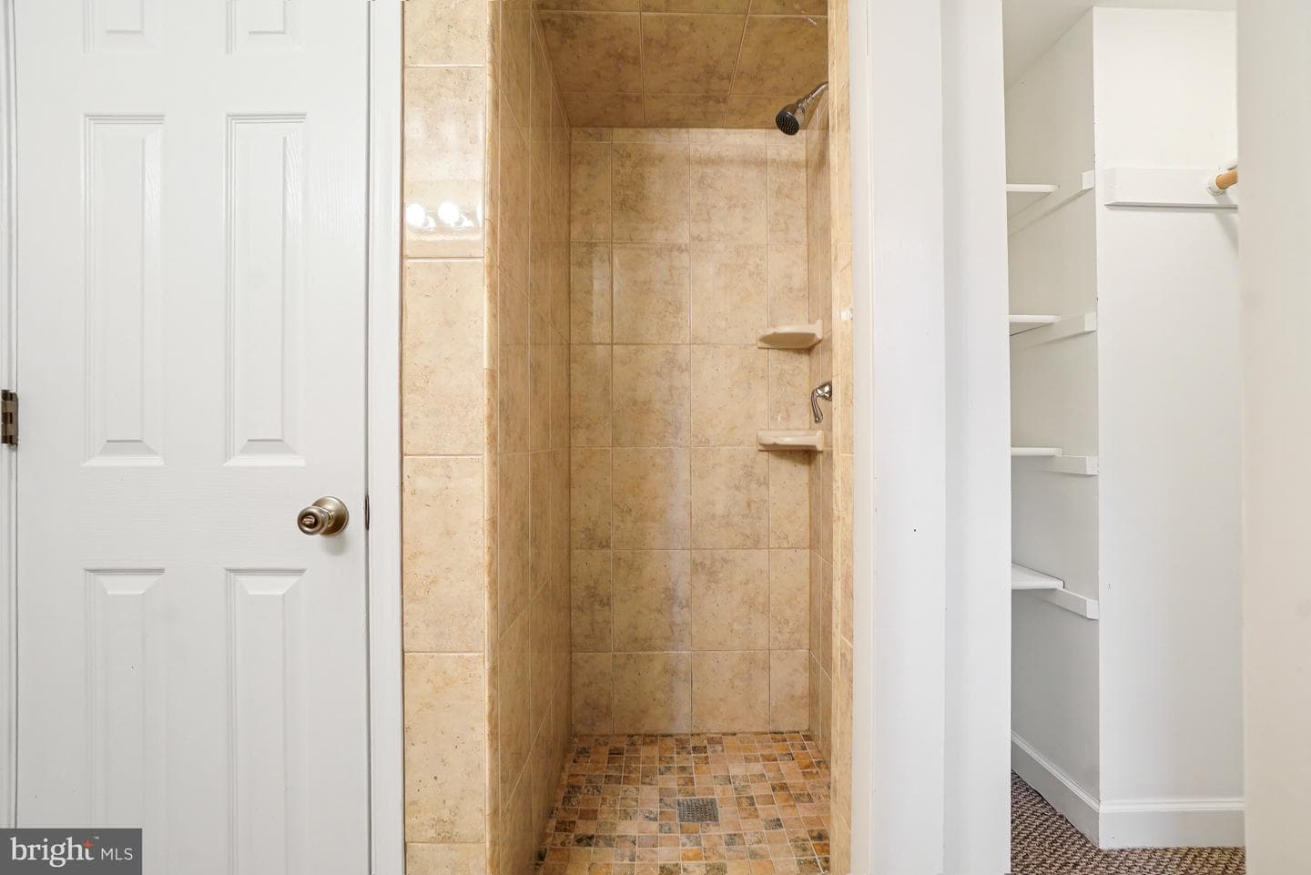 8524 Doter Drive photo 56