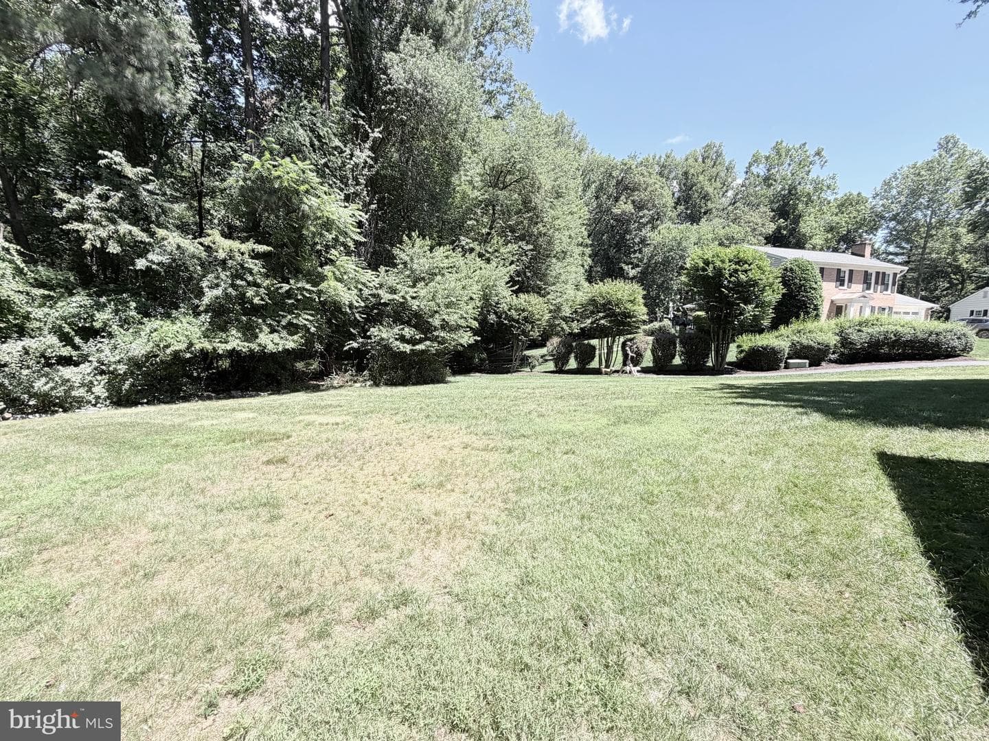 9509 Mandolin Court photo 7