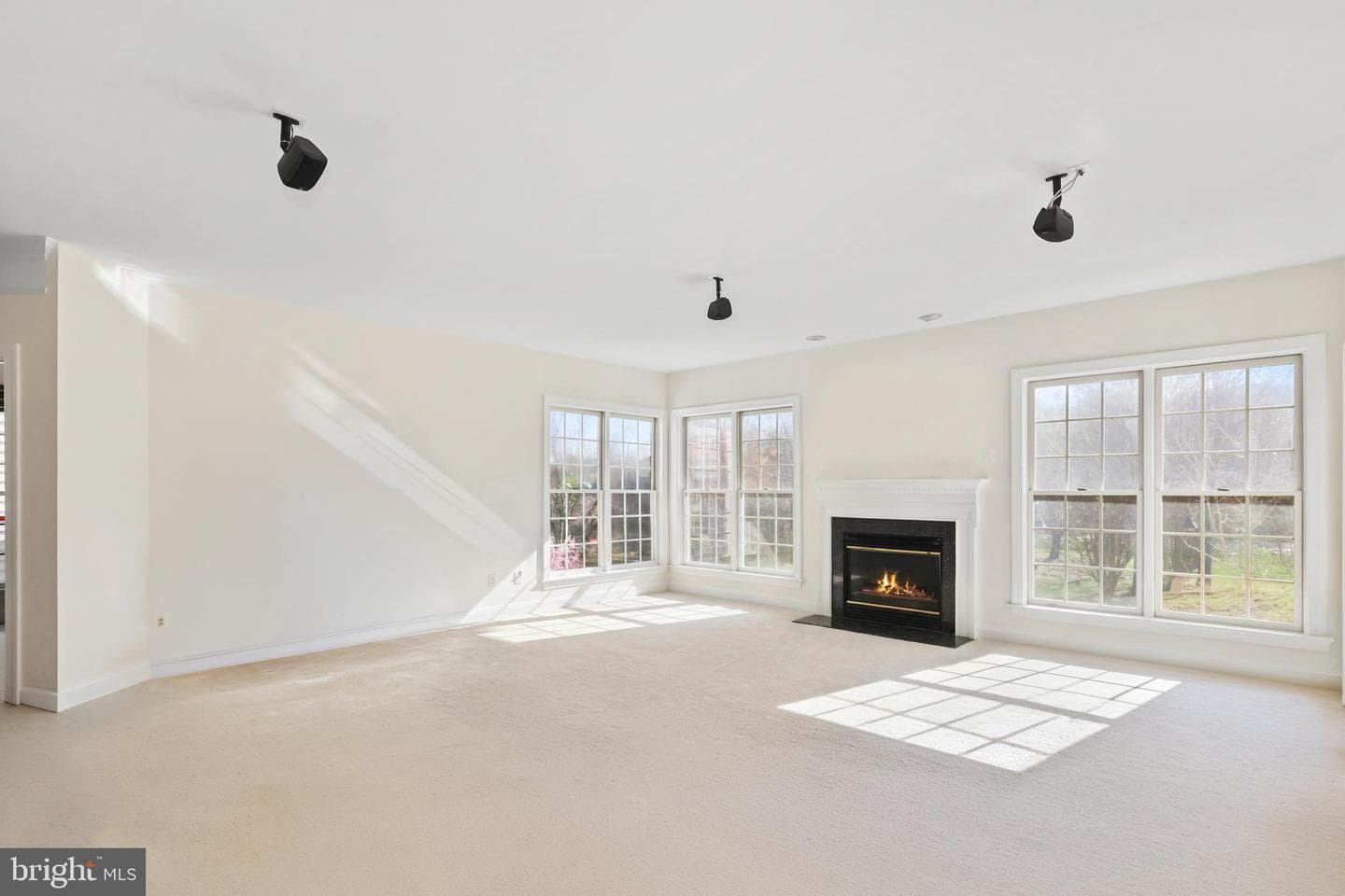 11638 Forest Hill Court photo 10