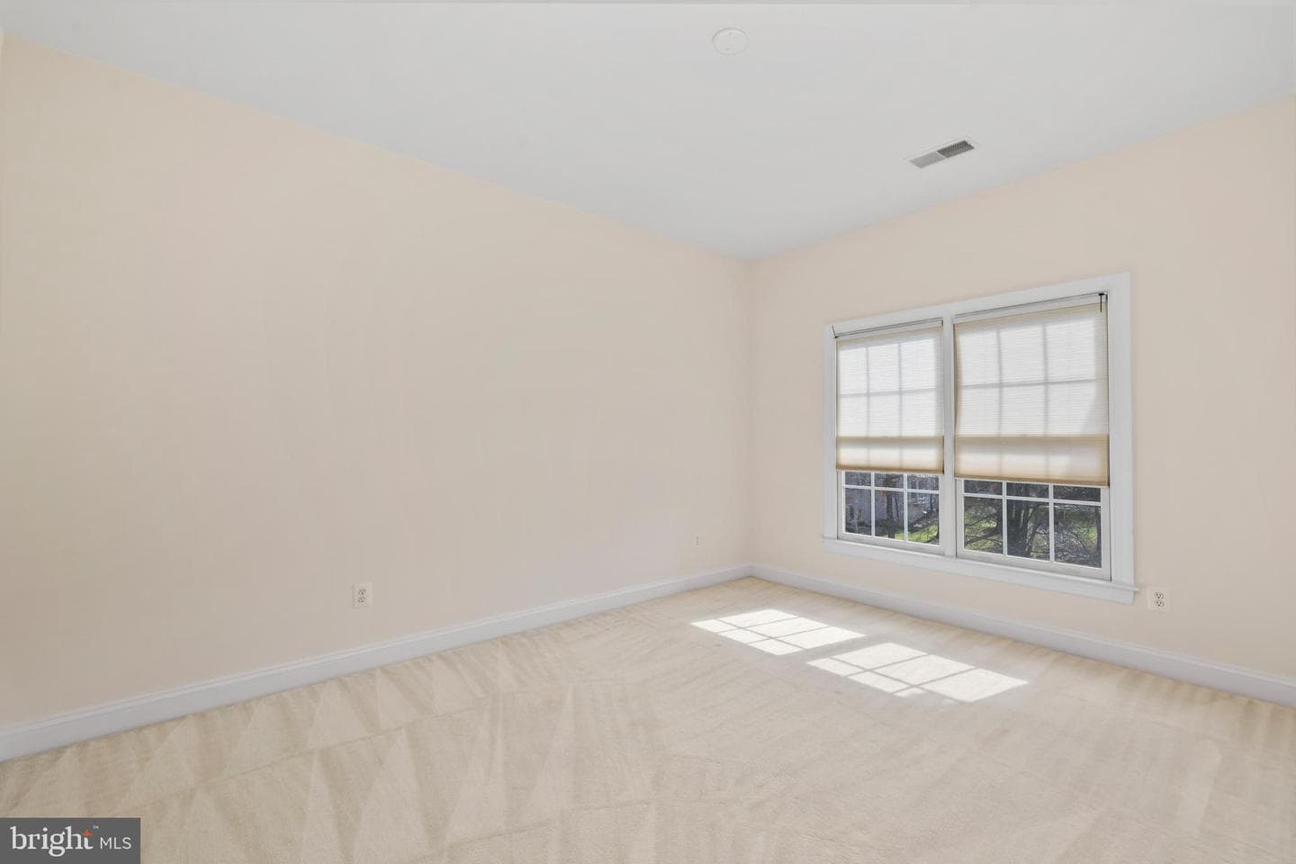 11638 Forest Hill Court photo 19