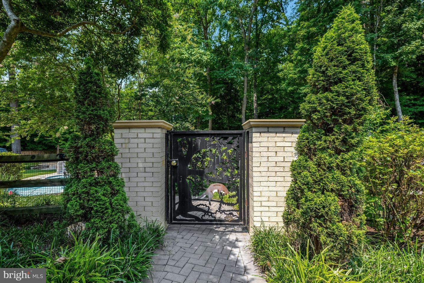10608 Kilcormac Way photo 102