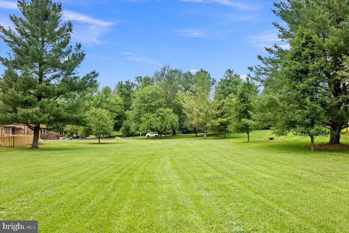 353 Gallop Wood Place photo 120