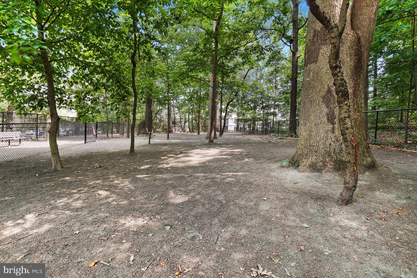 5904 Mount Eagle Drive #1214 photo 101