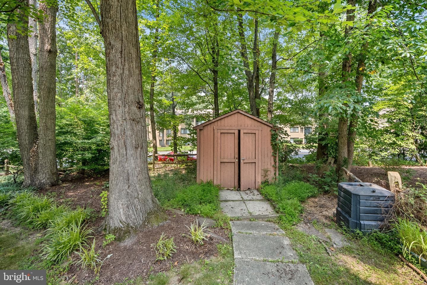 2284 Dosinia Court photo 62