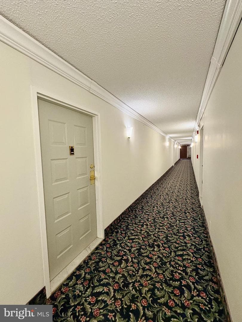 6800 Fleetwood Road #208 photo 18