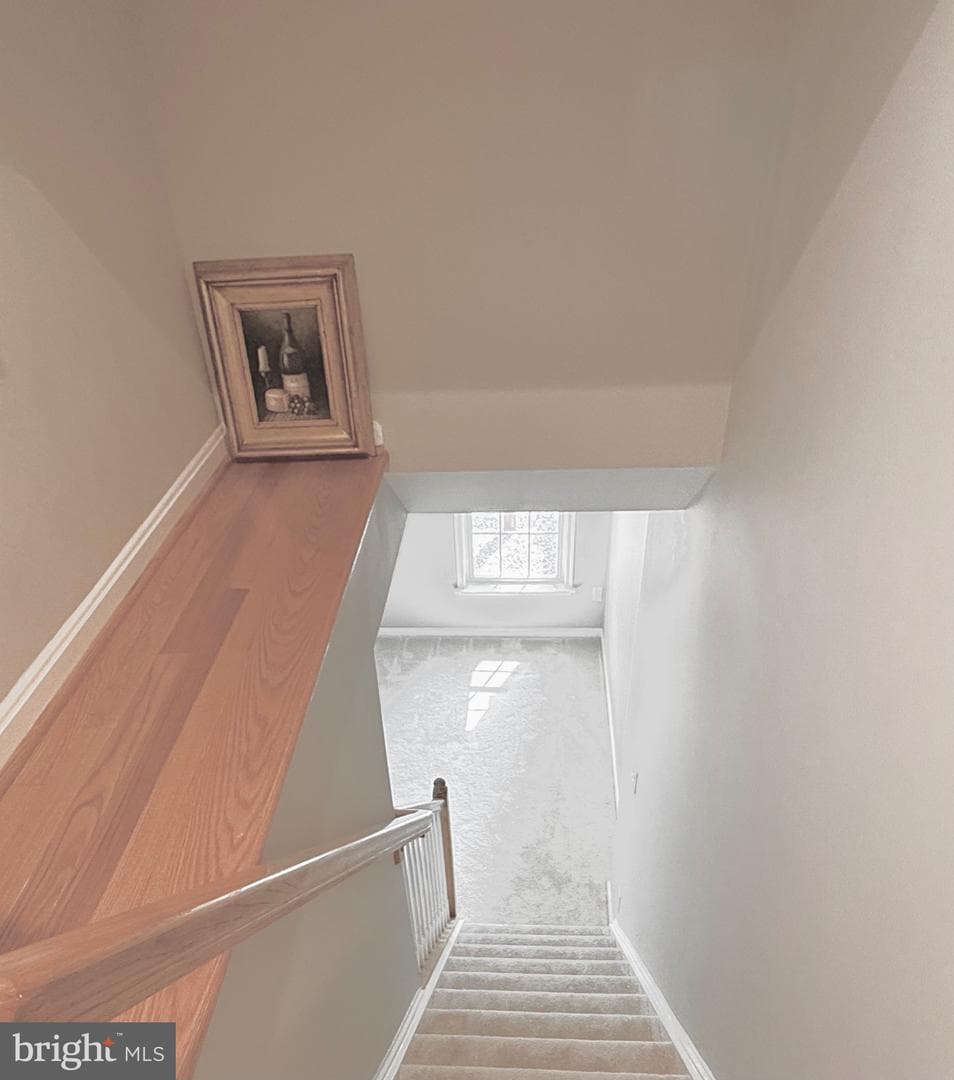 8145 Quinn Terrace photo 45