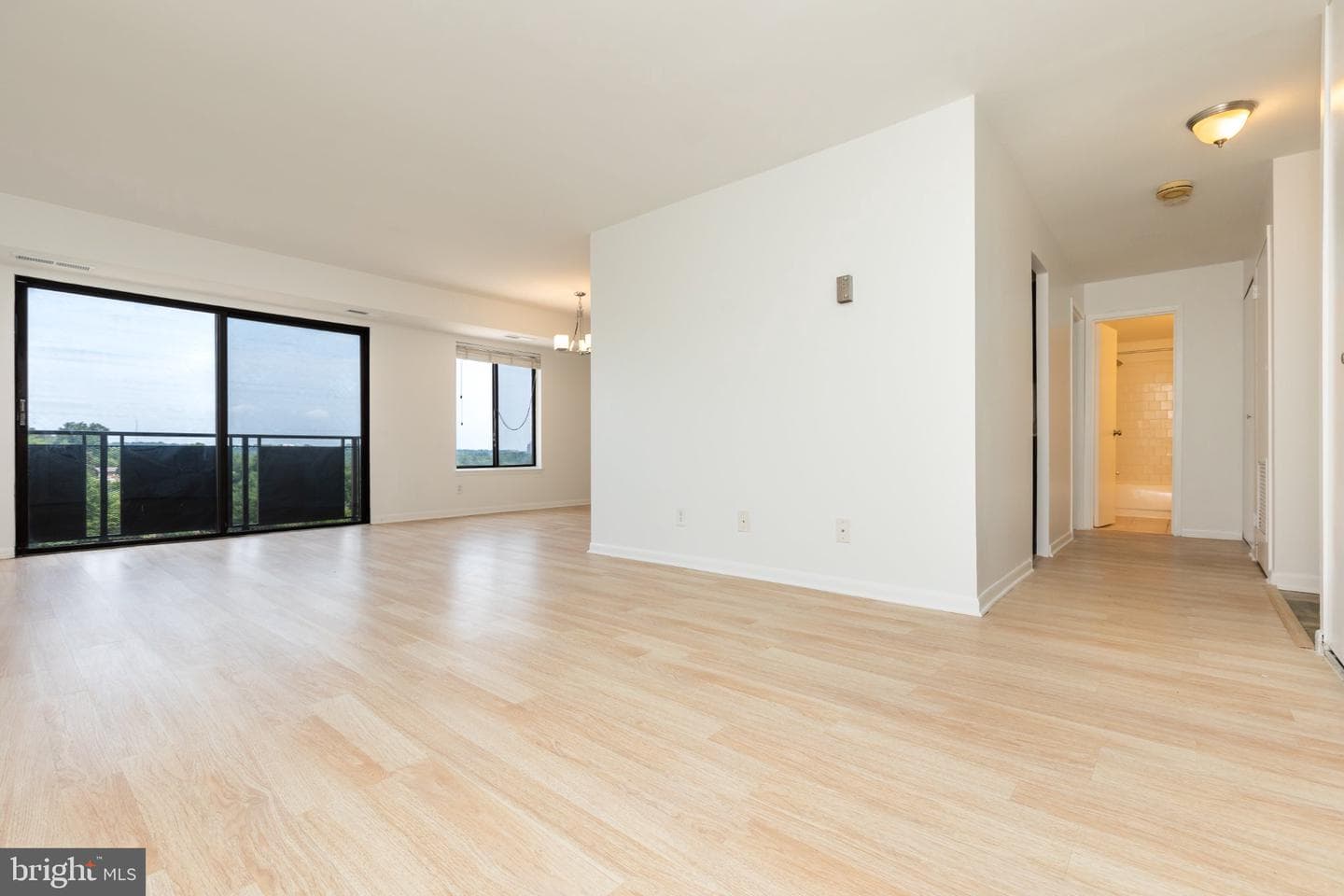 3100 S Manchester Street #923, Falls Church
