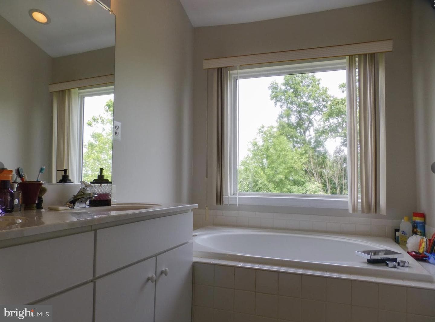 13222 Goose Pond Lane photo 17