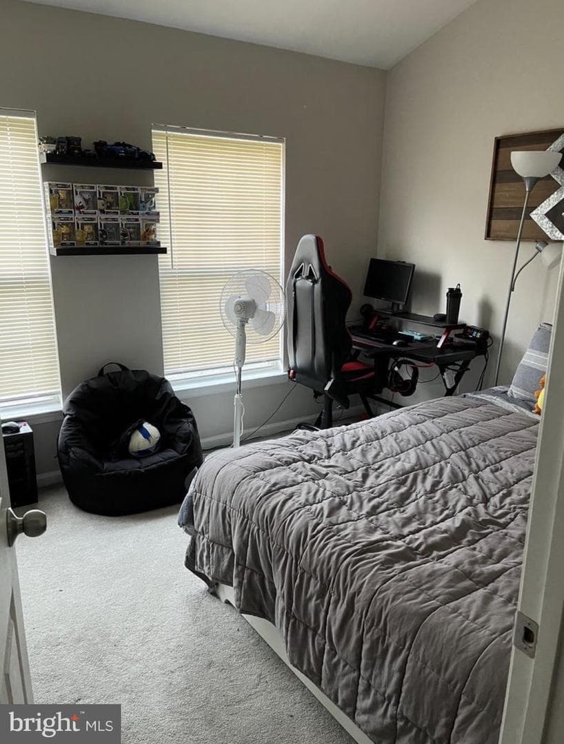 13222 Goose Pond Lane photo 21