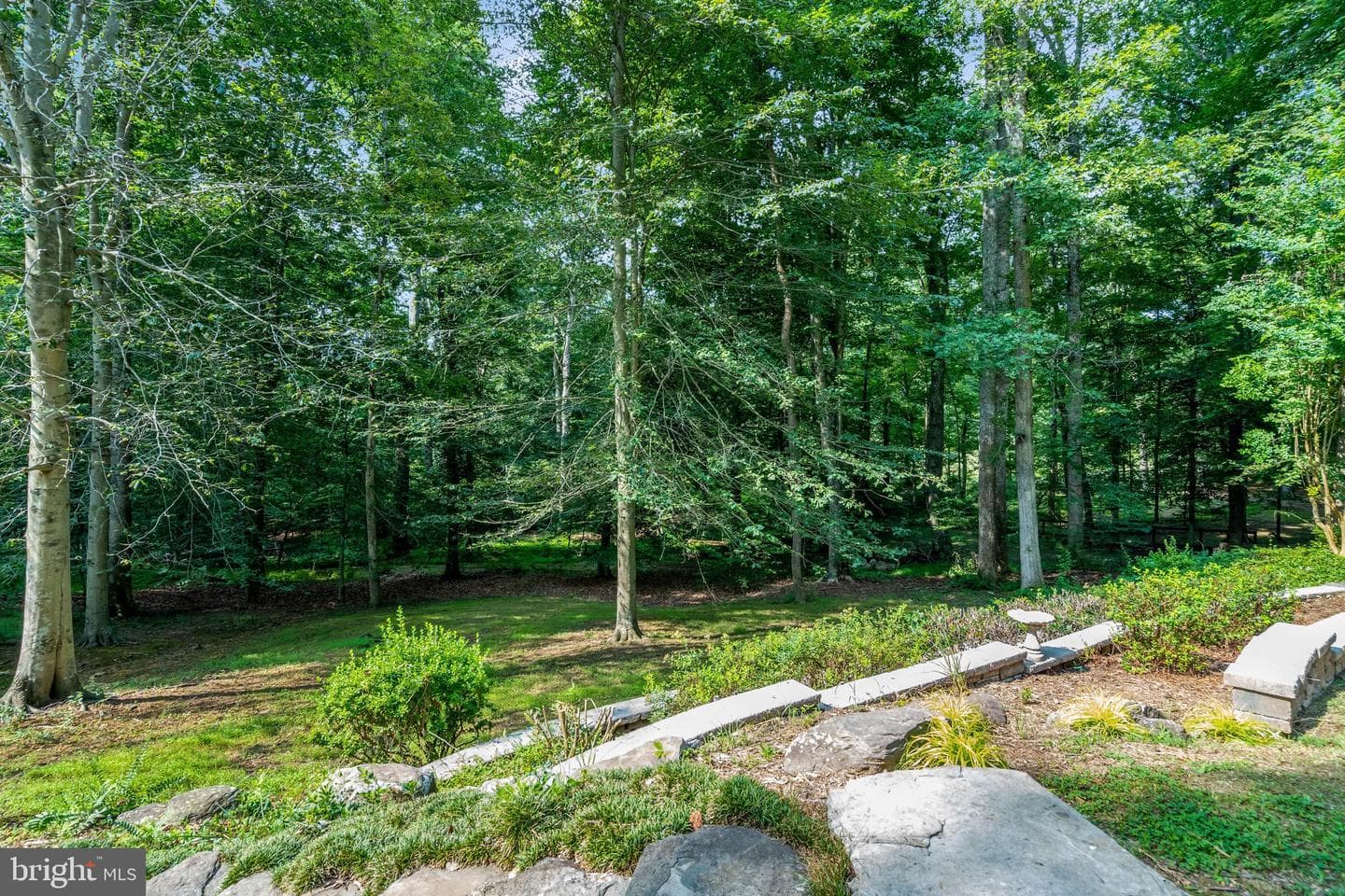 7430 Clifton Road photo 89