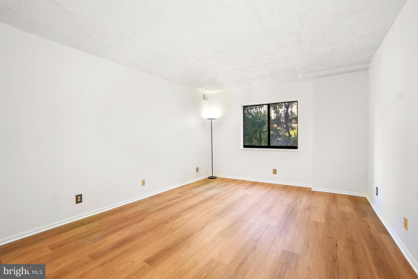 5902 Mount Eagle Drive #315 photo 17