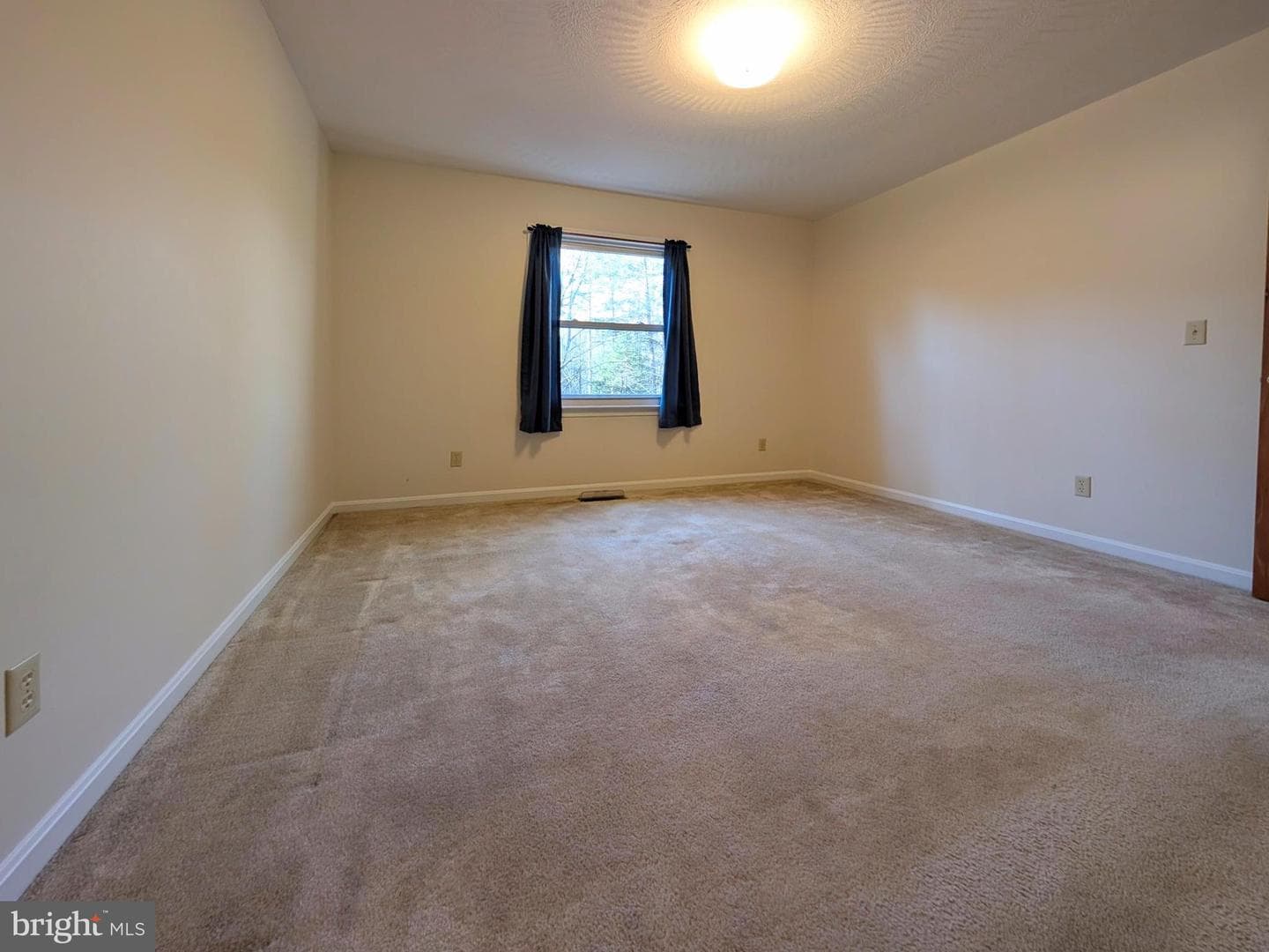 271 Rambling Road photo 12