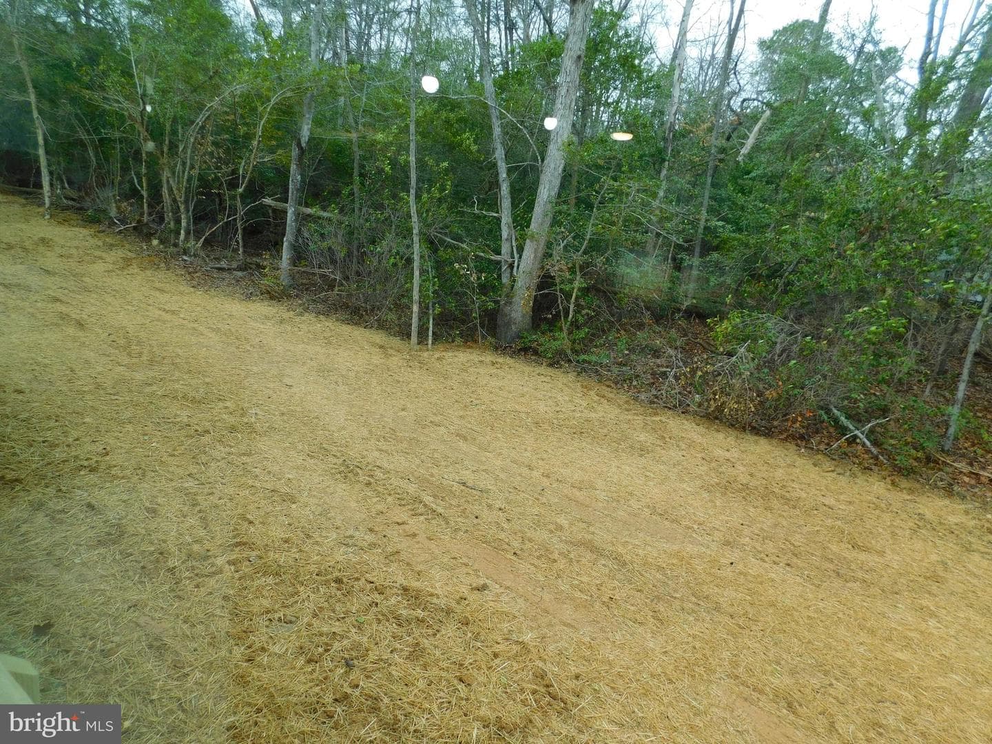 11190 Round Hill Estate Drive photo 39