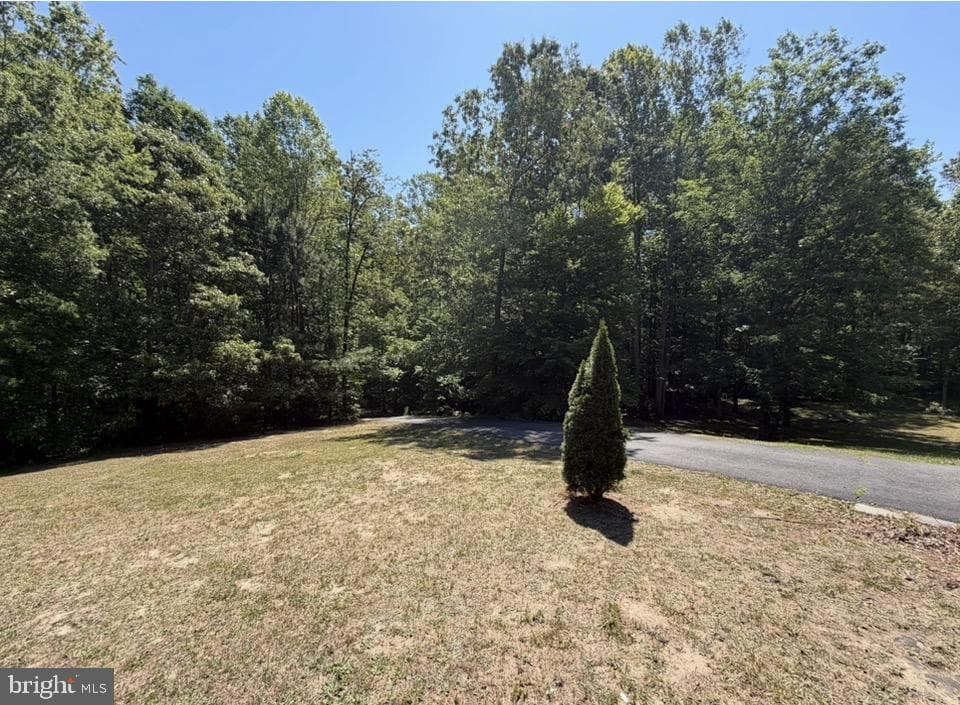 12002 Pleasant Drive photo 9