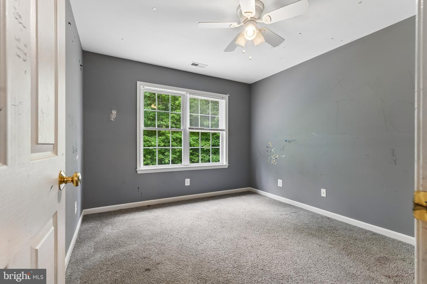 6286 Dawes Drive photo 21
