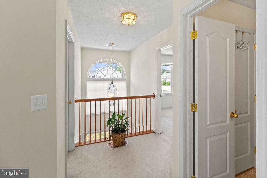 17088 Windward Lane photo 23